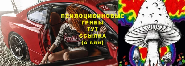 прущая мука Богородск
