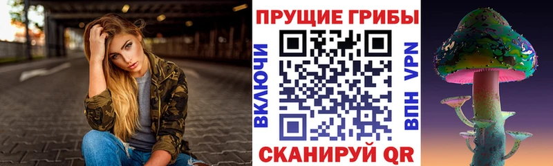 сайты даркнета наркотические препараты  Ефремов  Псилоцибиновые грибы Cubensis 